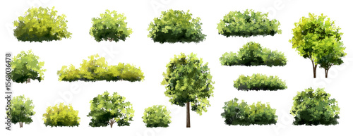 Vertor set of green tree,plants side view for landscape elevations,element for backdrop,eco environment concept design,watercolor greenery scene