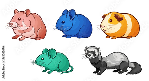 Vector explore popular small pet rodents and mammals hamster chinchilla guinea pig mouse ferret for adoption care guide