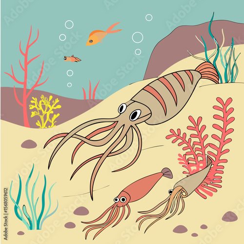  omnivorous sea floor grazers