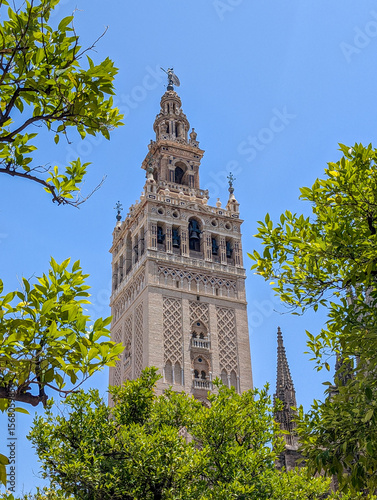 The Giralda bell tower of the Seville Cathedral in Andalusia, Spain. A view from below on a sunny day, framed by green leaves against a vibrant blue sky. A famous historic landmark.