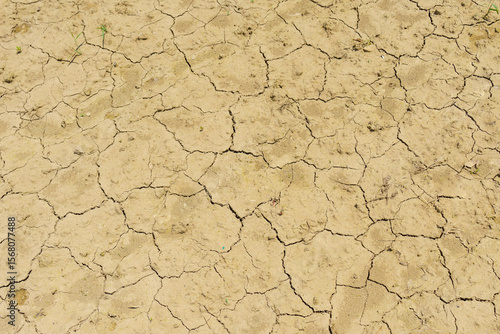 日照り続きでひび割れた地面