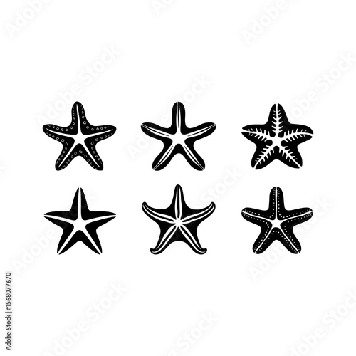 black and white stars isolated on white