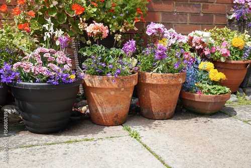 Fototapeta Naklejka Na Ścianę i Meble -  plant pots with summer flowers on garden patio. Decorative outdoor spaces