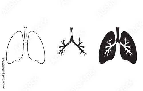 Human lungs anatomical illustration and silhouette anatomy medical