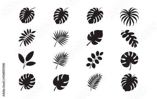 Various Tropical Leaf Silhouettes tropical leaves monstera