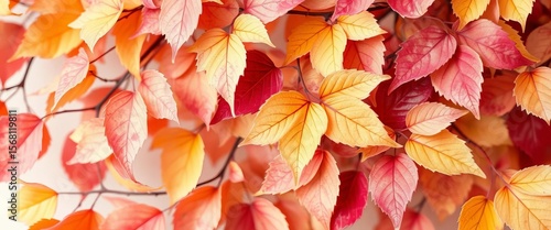 Delicate watercolor autumn leaves in blush pink, yellow, burgundy floral print, floral, pastel