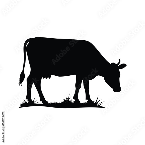 Silhouette of a cow grazing in a grassy field on a bright day
