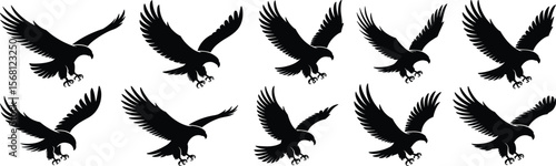 Eagle silhouette flying with open wings, powerful raptor attack pose collection, majestic bird of prey black vector illustration icon set flat vector illustration