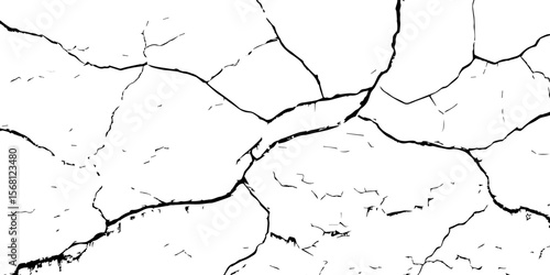 "White grunge wall texture with bold black cracks forming abstract patterns. Ideal for backgrounds, distressed design elements, aged surface effects, and creative graphic overlays"