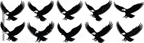 Bald eagle flying silhouette collection, black and white predator bird, hunting raptor vector illustration, wings spread majestic wildlife design flat vector illustration
