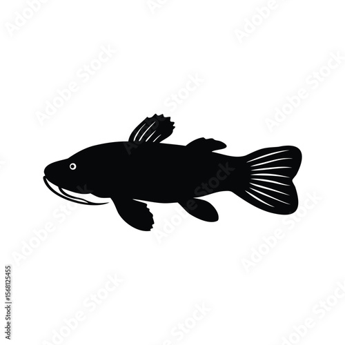 Stylized silhouette of a catfish facing left with visible whiskers