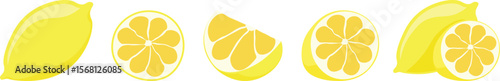 Hand-Drawn Variety of Lemons Sliced Fruit Set – Organic and Fresh Vector Illustration