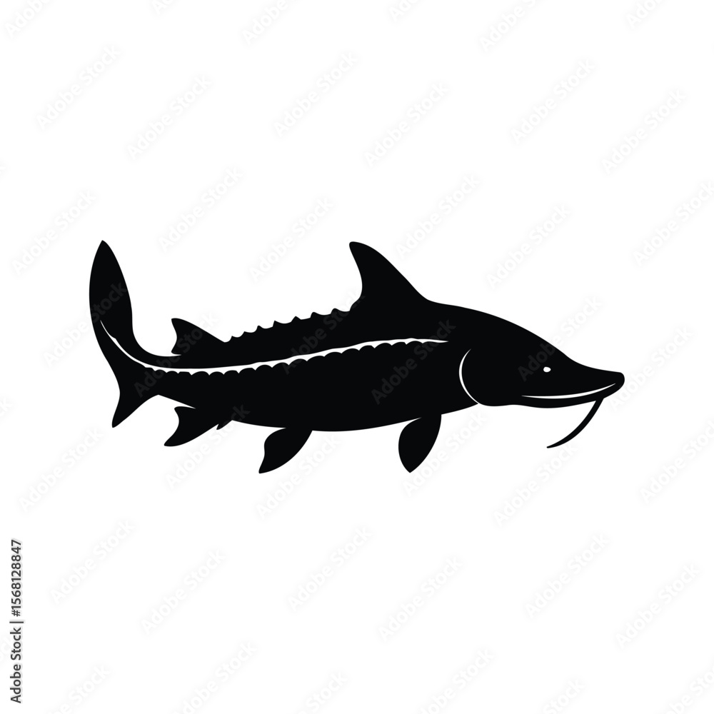 Obraz premium Simple black silhouette of an isolated sturgeon fish on a white background