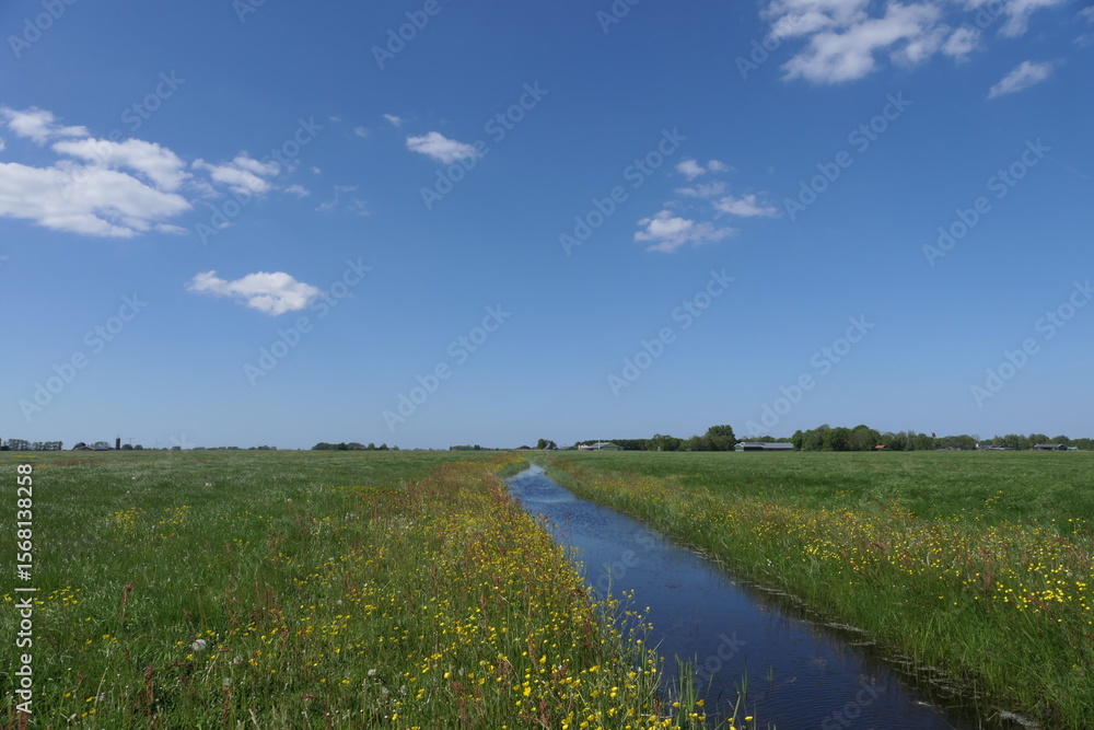 Fototapeta premium A Dutch horizon framed in green.
