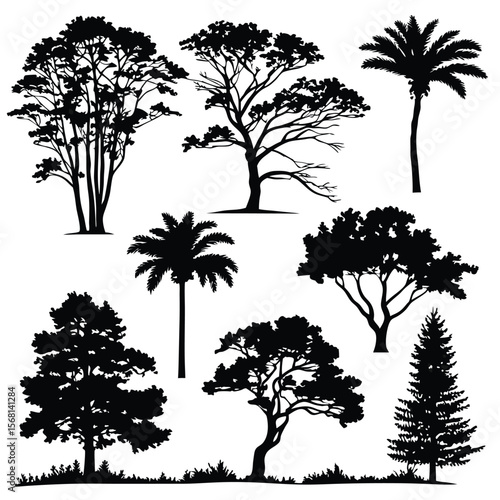 Collection of diverse tree silhouettes including palm trees and conifers isolated on transparent background silhouette