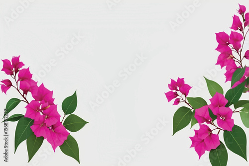 Beautiful bougainvillea spring floral blossom border isolated on transparent background. Colorful flower frame. blossom flower with green leaves. Mockup from flowers. Spring summer design elements ...