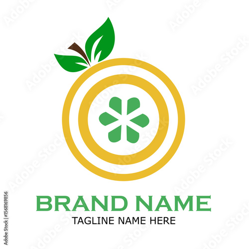 Orange Fruit Logo Vector Template