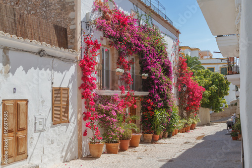 Fototapeta Naklejka Na Ścianę i Meble -  The street of Ibiza with a beautiful bougainvillea against the wall.