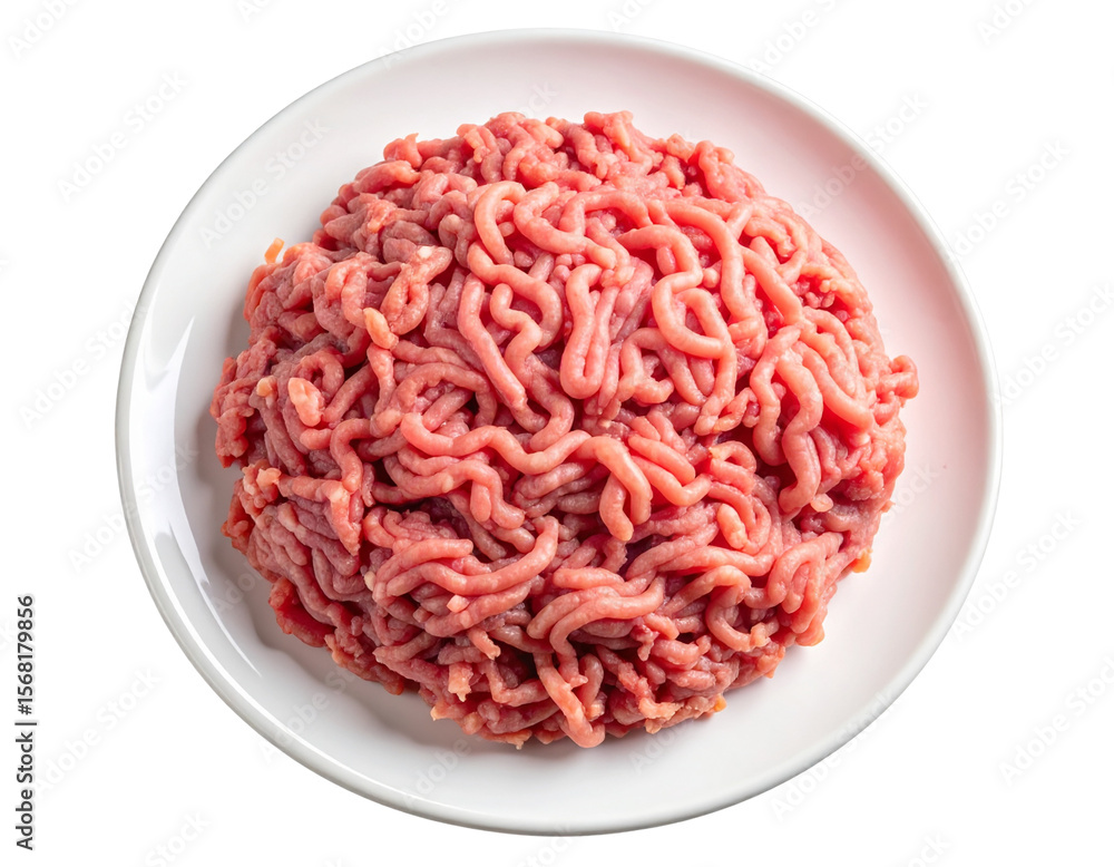 Raw Minced Pork Neatly Placed on White Ceramic Plate – Transparent PNG Raw Minced Pork Neatly Placed on White Ceramic Plate – Transparent PNG