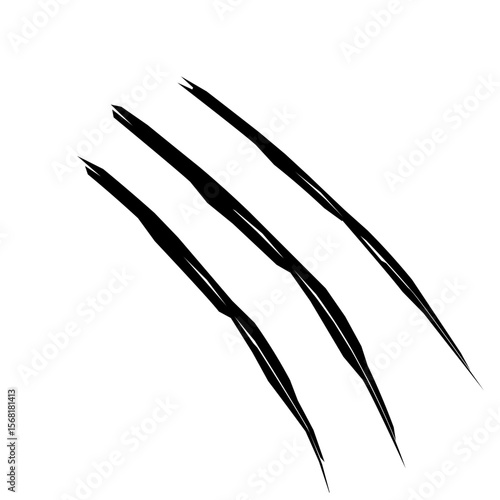 hand drawn vector illustration of a scratch clawn animal