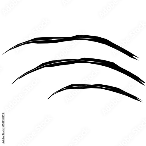 Animal scratch vector illustration black and white