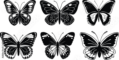 Colorful Butterfly Isolated on White – Nature Insect Illustration or Photo

