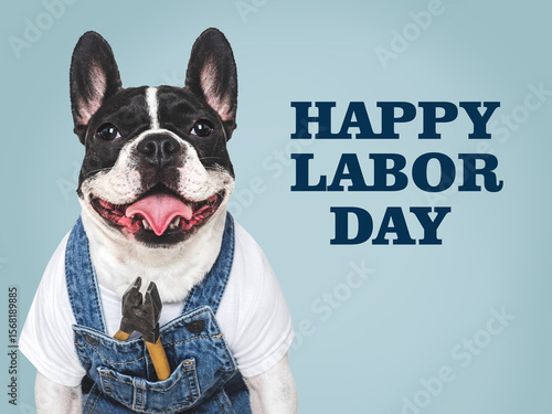 Happy Labor Day. Cute puppy, work overalls and wrenches. Close-up, indoors. Studio shot. Congratulations for family, relatives, loved ones, friends and colleagues. Pets care concept
