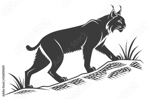 Majestic Lynx Silhouette Strolling Calmly on Grassy Terrain Detailed Monochrome Illustration of a Wildcat