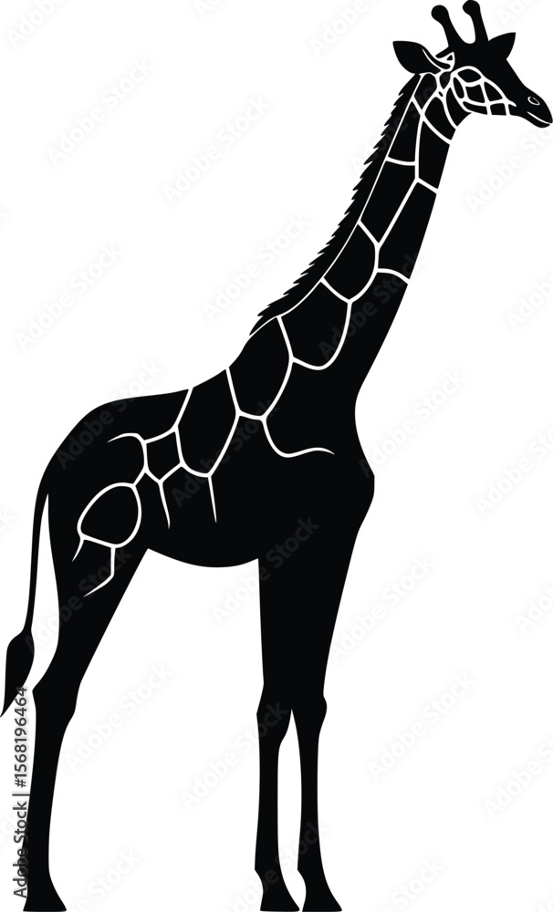 Obraz premium Elegant black vector giraffe silhouette: African wildlife design