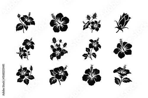 Black hibiscus flowers and buds silhouette collection floral botanical