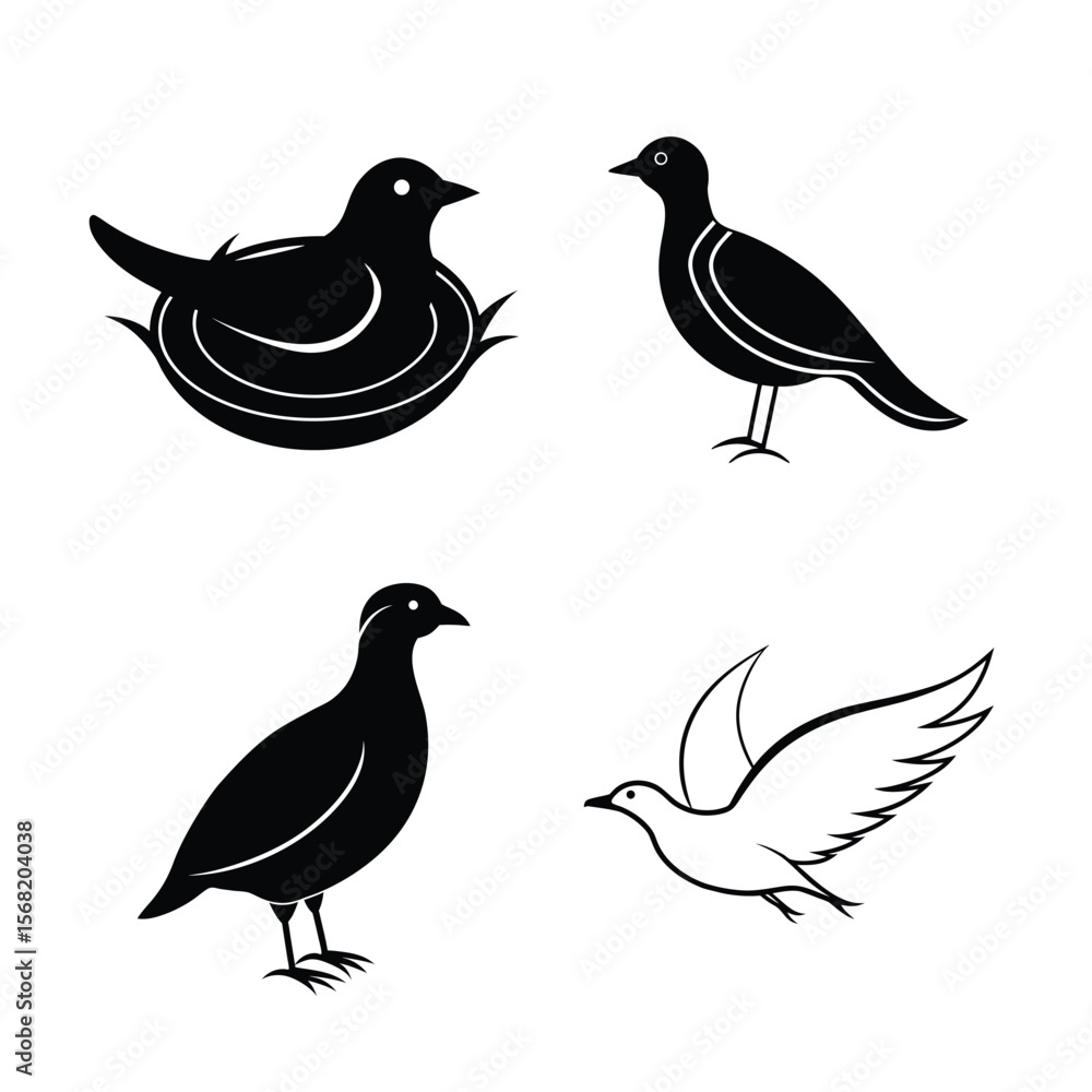 Fototapeta premium silhouette Birds bundile