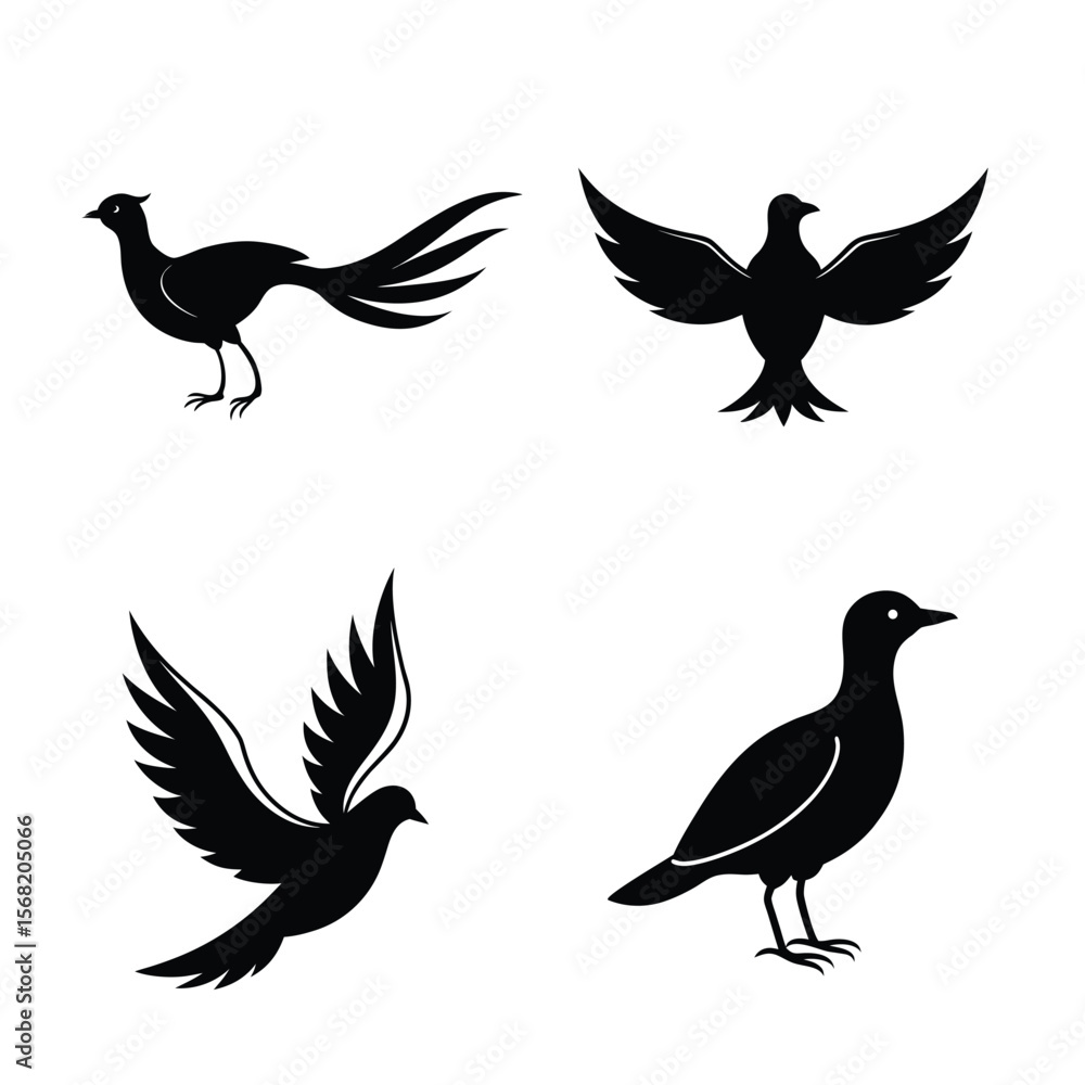 Obraz premium silhouette Birds bundile