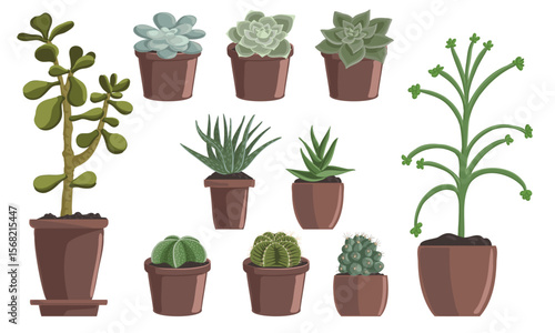 vector drawing set of house plants in pots, succulents and cactuses isolated at white background, hand drawn illustration