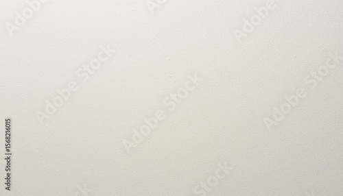 Textured Off White Canvas background material