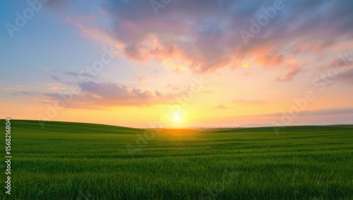 Verdant rolling fields at golden hour sunrise sunset
