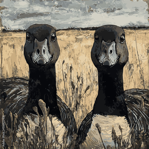 geese faces in the field, color image
