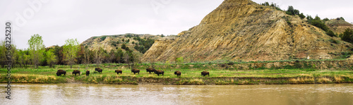 Tableau sur toile A herd of bison grazes along the riverbank in Theodore Roosevelt National Park