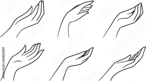Elegant feminine hands in various open palm gestures vector