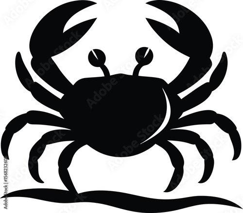 silhouette of a crab  walking on beach