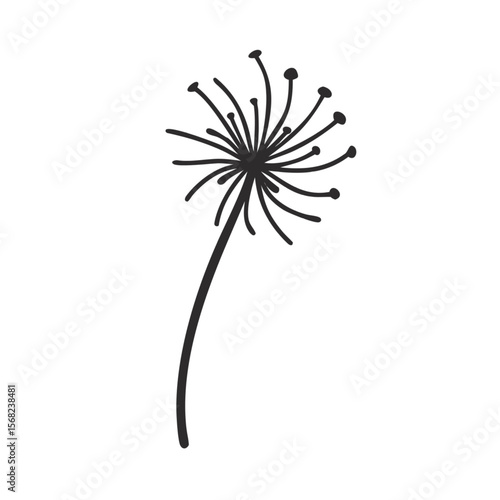 Isolated white dandelion vector, its fluffy seeds caught in a summer breeze