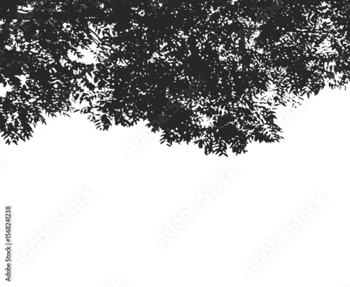 Realistic black shadow overlay effect of blurred natural leaf on transparent background. Tree branch leaves shadow. gray shadow and light effect. Summer spring mockup design elements, PNG