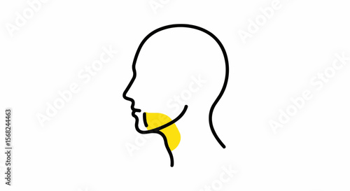 Profile outline of a head and neck with yellow highlighting the throat and salivary glands area
