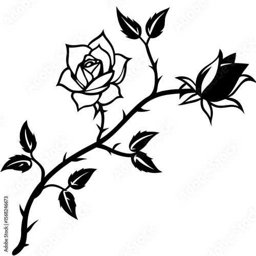 silhouette of a single climbing rose vine with thorns and buds