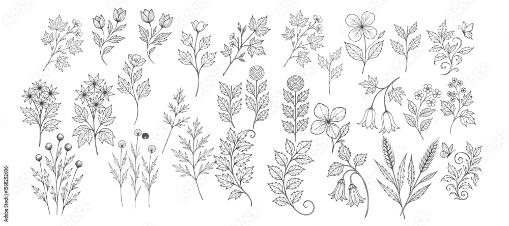 Fototapeta premium 25+ hand drawn style Abstract swirling stem with leaf in vector stock 