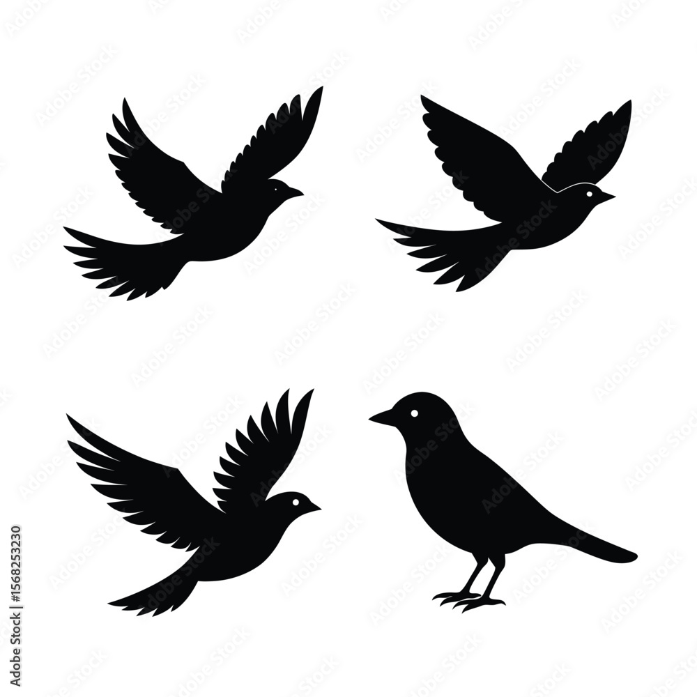 Obraz premium silhouette Bird