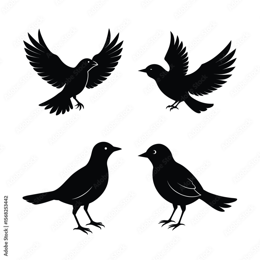 Fototapeta premium silhouette Bird