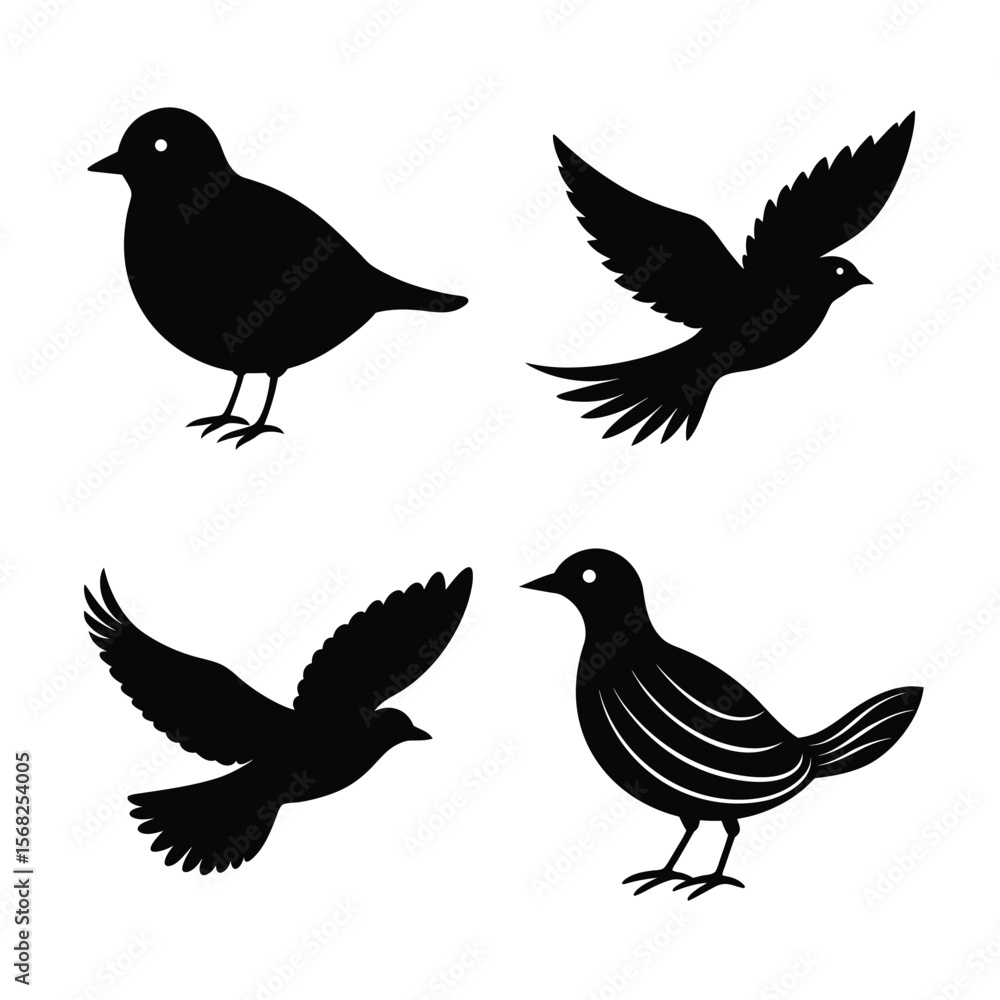 Obraz premium silhouette Bird