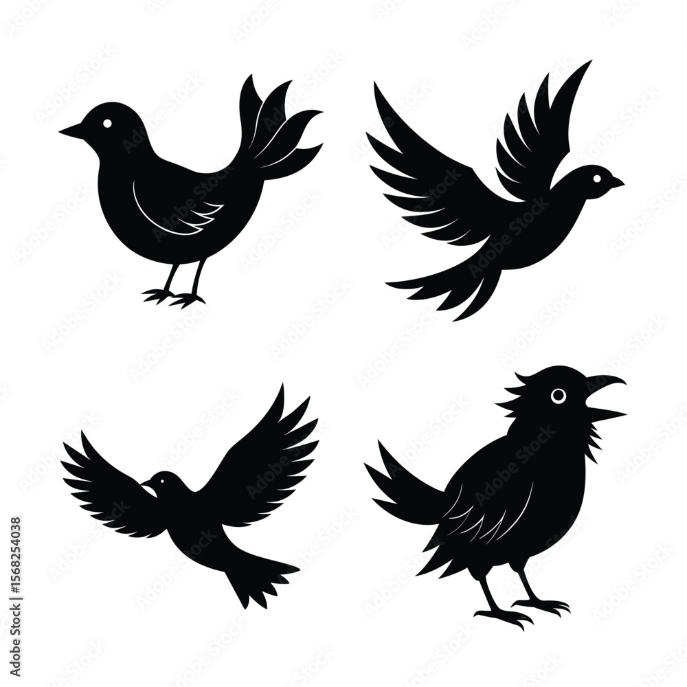 Fototapeta premium silhouette Bird