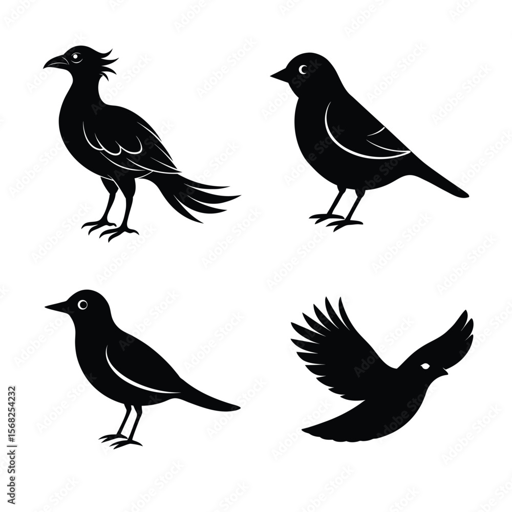 Obraz premium silhouette Bird