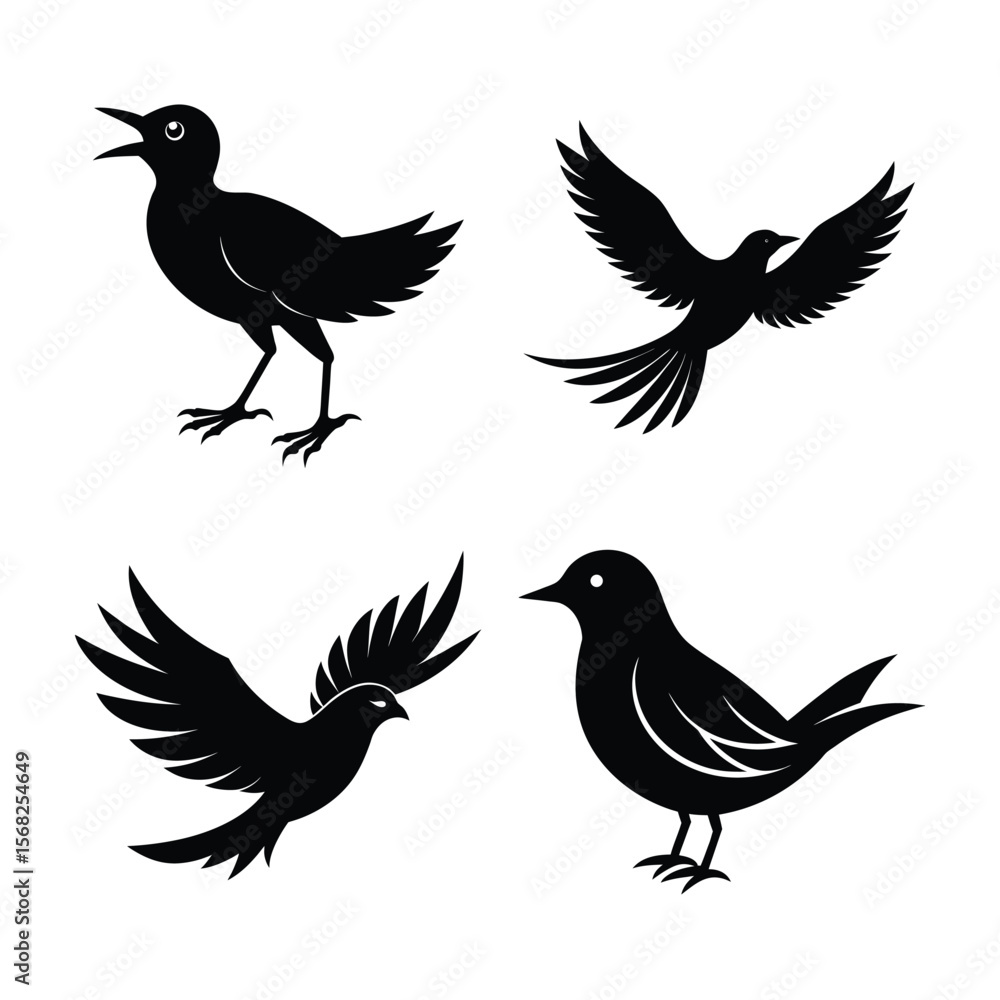 Fototapeta premium silhouette Bird